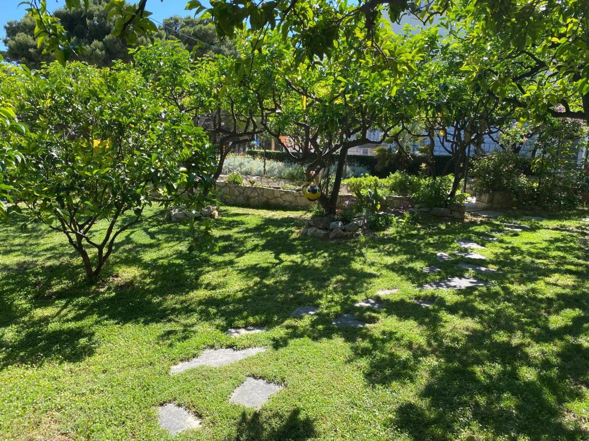 Terrace Apartment フヴァル エクステリア 写真